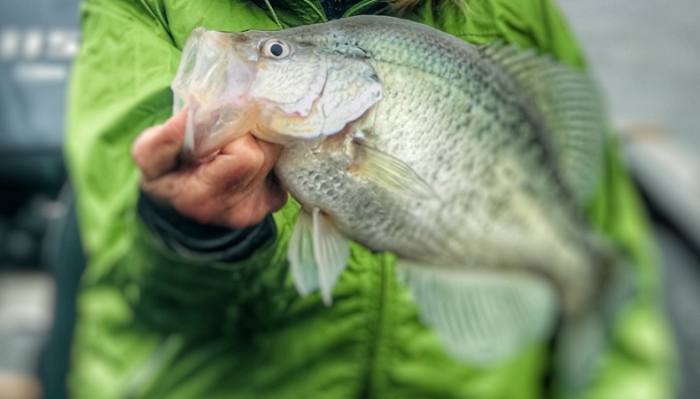 Dock Shooting on Cedar Creek Lake - Barry Stokes explains and Catches Crappie Shooting Docks